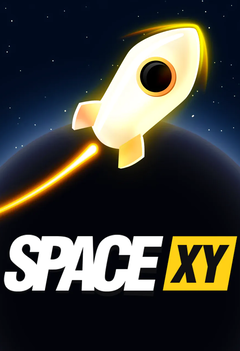 Space X